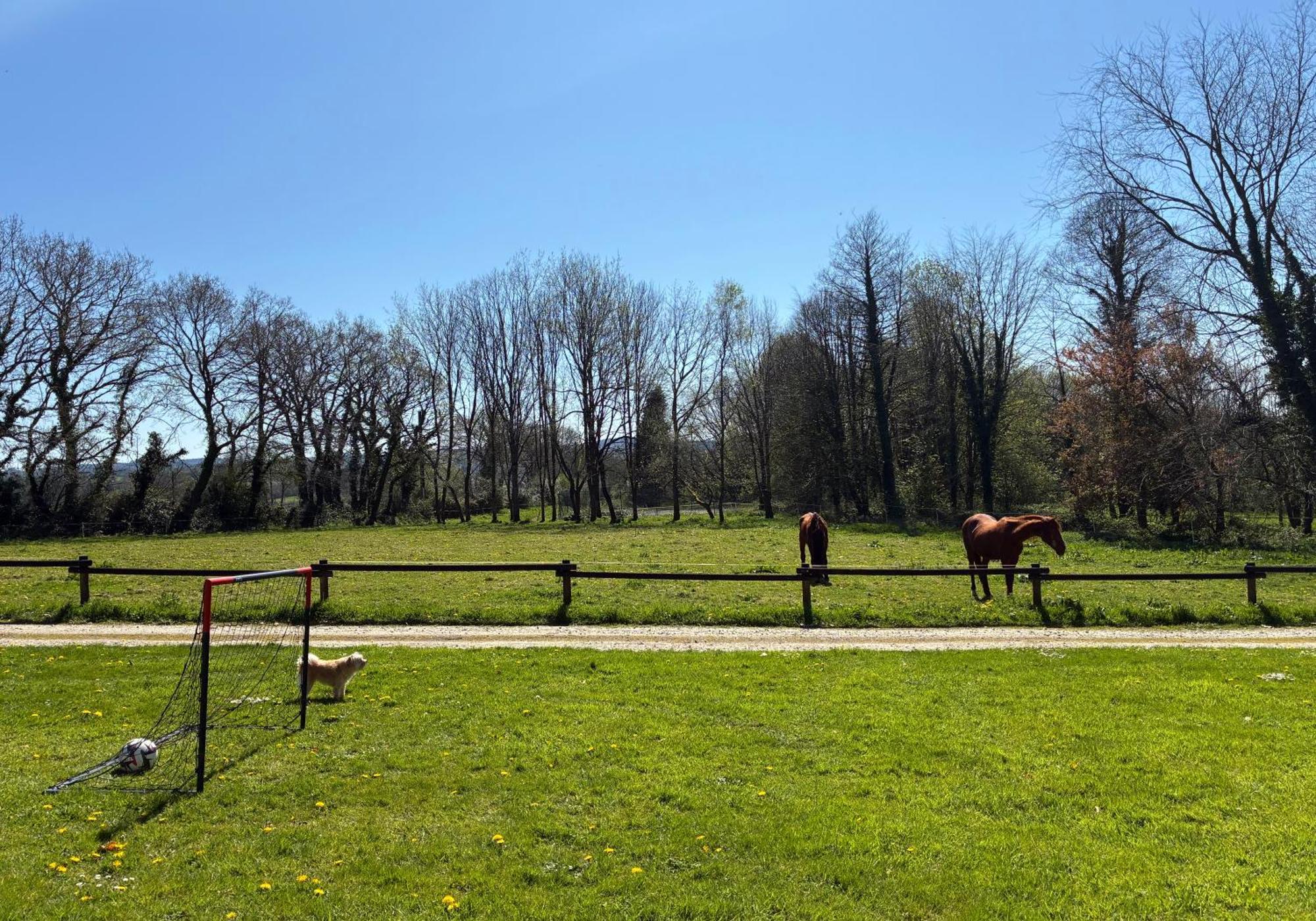 Gite Milin A Sizun Hebergement Confortable Pour 7 Pers Bagian luar foto